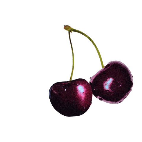 A pair of vibrant, glossy cherries with bright green stems against a black background.