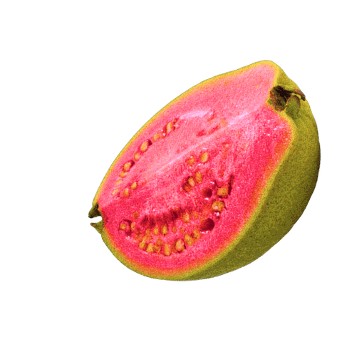 Fresh pink guava slice with seeds on a black background, showcasing its vibrant color and unique texture.