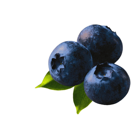 Fresh blueberries with vibrant green leaves on a black background, showcasing their rich color and texture.