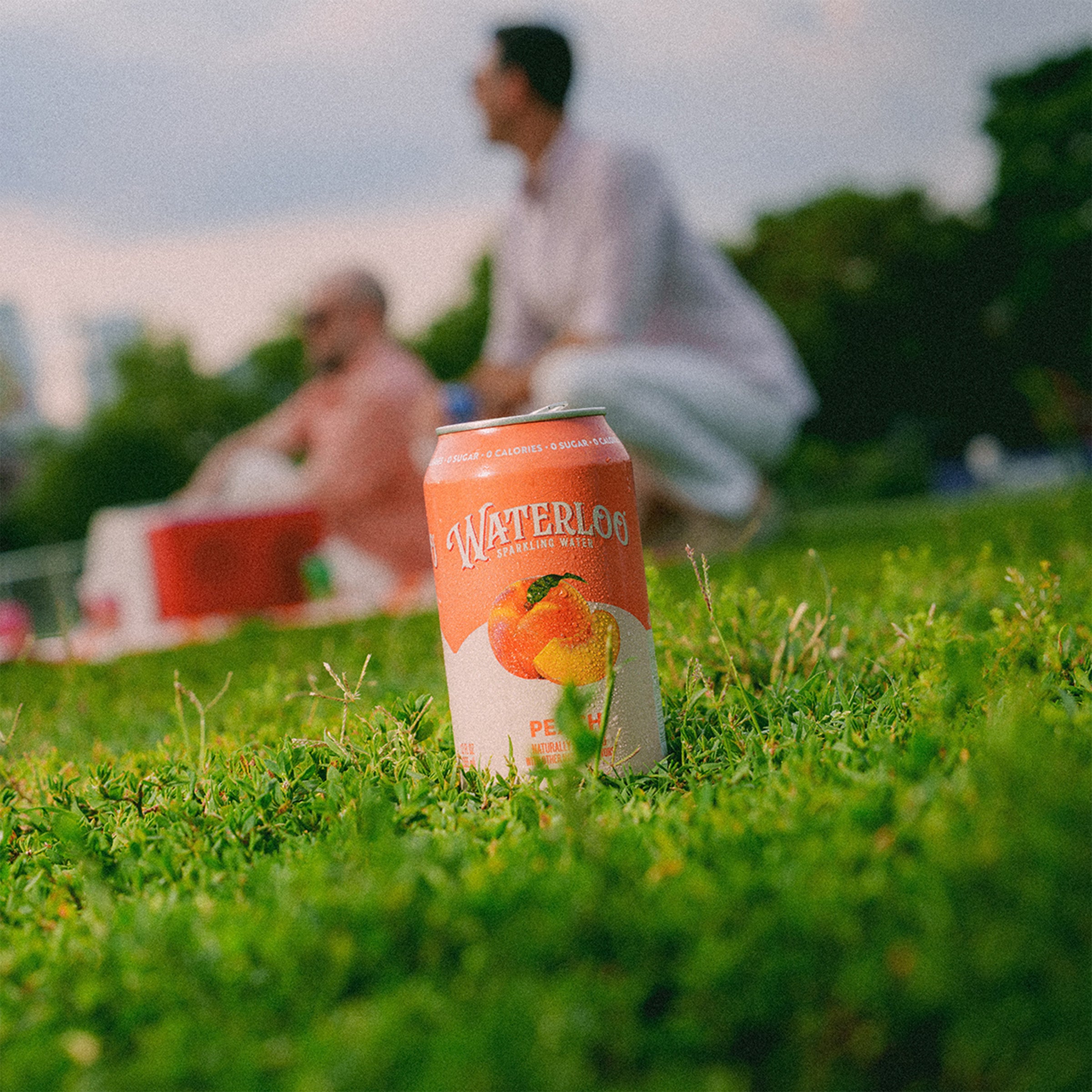 Chilled Waterlog sparkling water can with Peach flavor on grass during a picnic.