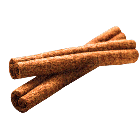 Close-up of two cinnamon sticks, highlighting their rich brown color and spiraled texture against a black background.