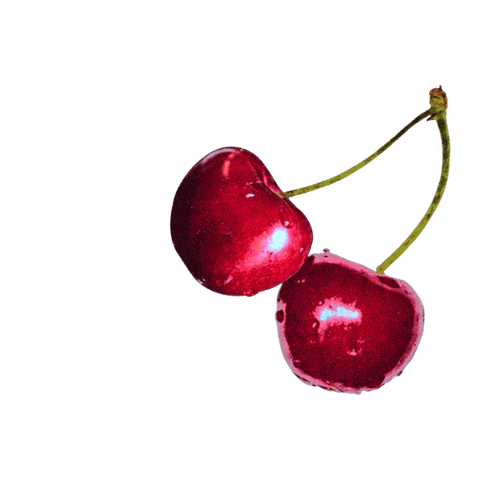 Two ripe red cherries with shiny skin hanging from a green stem against a black background.