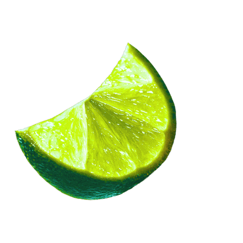 Freshly cut lime slice on a black background, showcasing vibrant green color and textured interior.