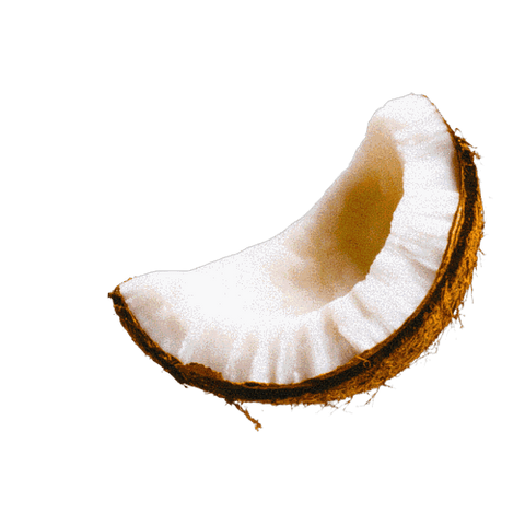 Close-up of a coconut slice showcasing its white flesh and brown outer shell on a black background.
