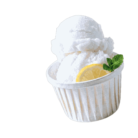 Refreshing lemon sorbet in a white cup garnished with a mint leaf and lemon slice.