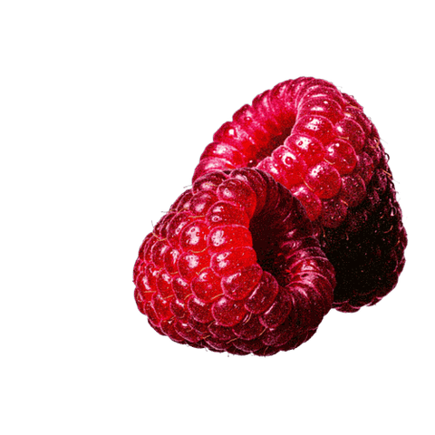 Fresh, vibrant red raspberries on a black background, showcasing their juicy texture.