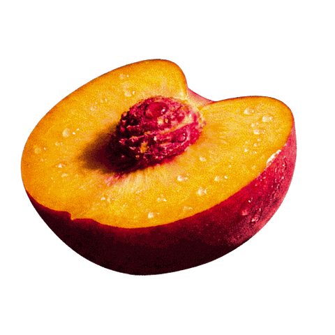 Juicy, half-cut peach with vibrant yellow flesh and a red skin, glistening with moisture against a black background.