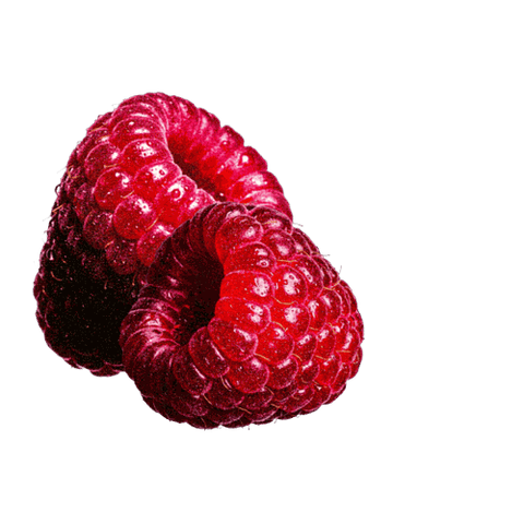 Close-up of two ripe red raspberries on a black background, showcasing their vivid color and texture.